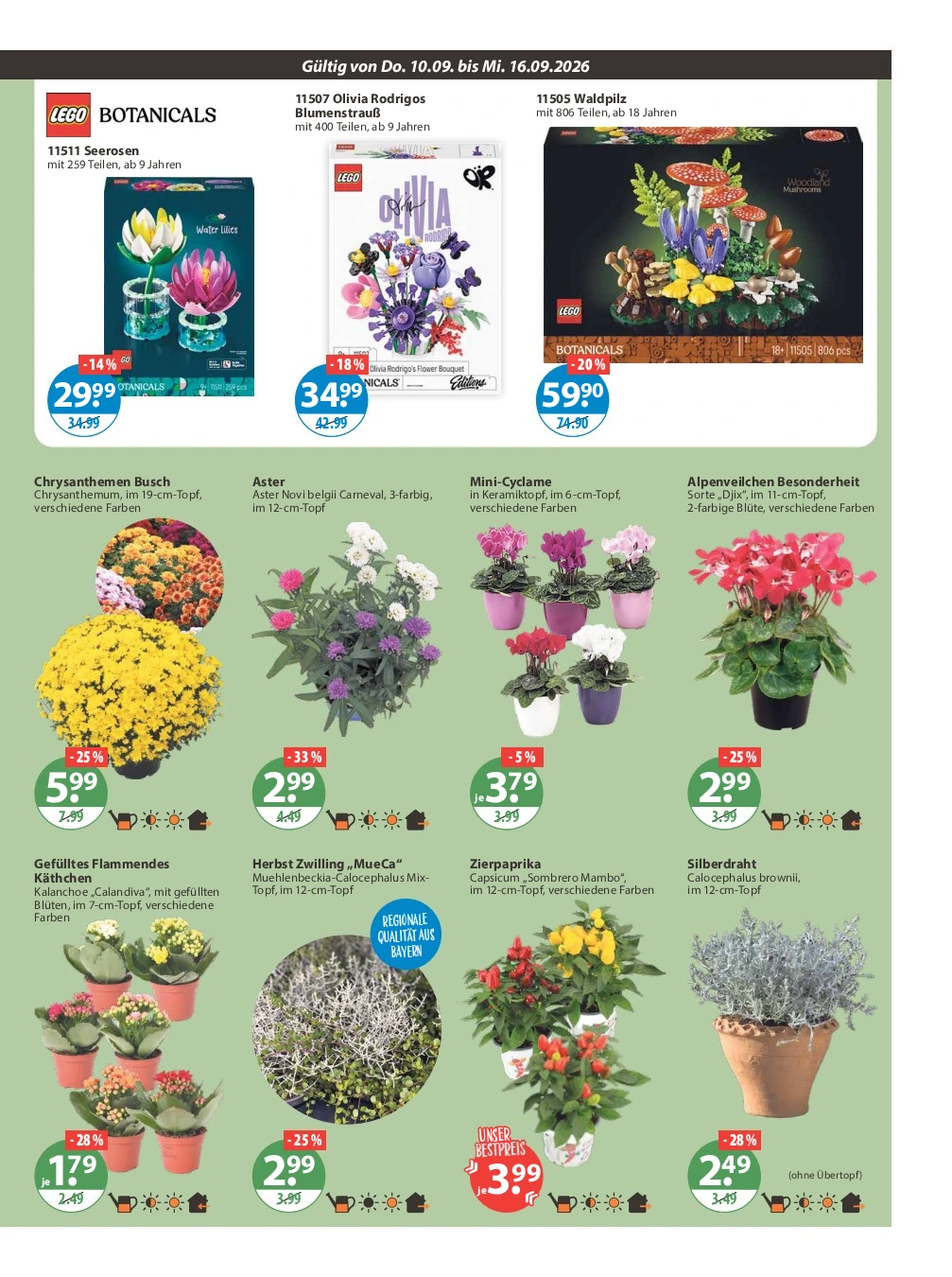 Flyer page 15