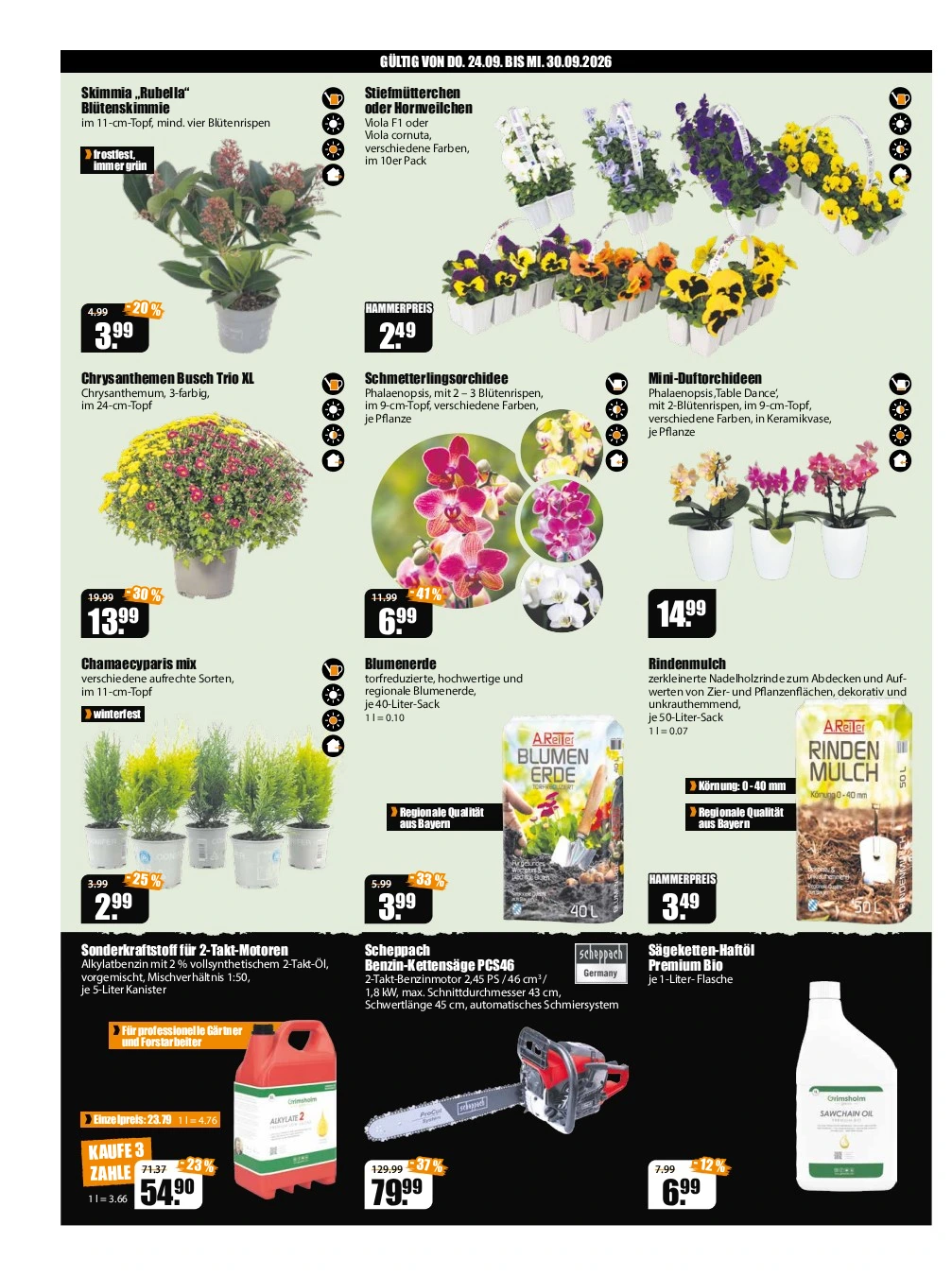 Flyer page 2