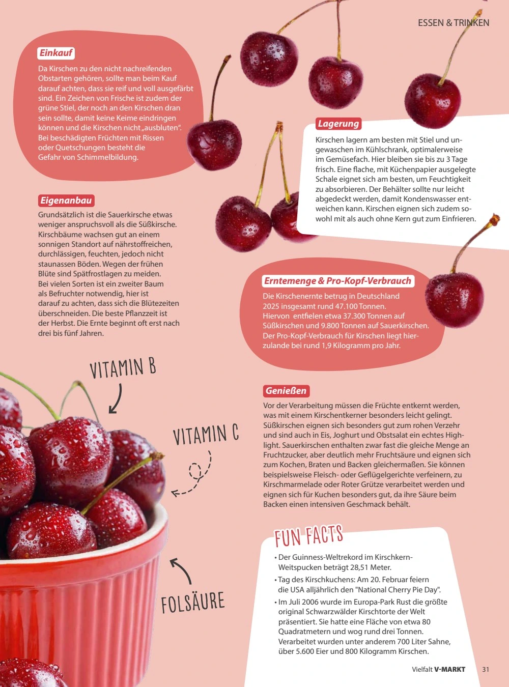 Flyer page 31