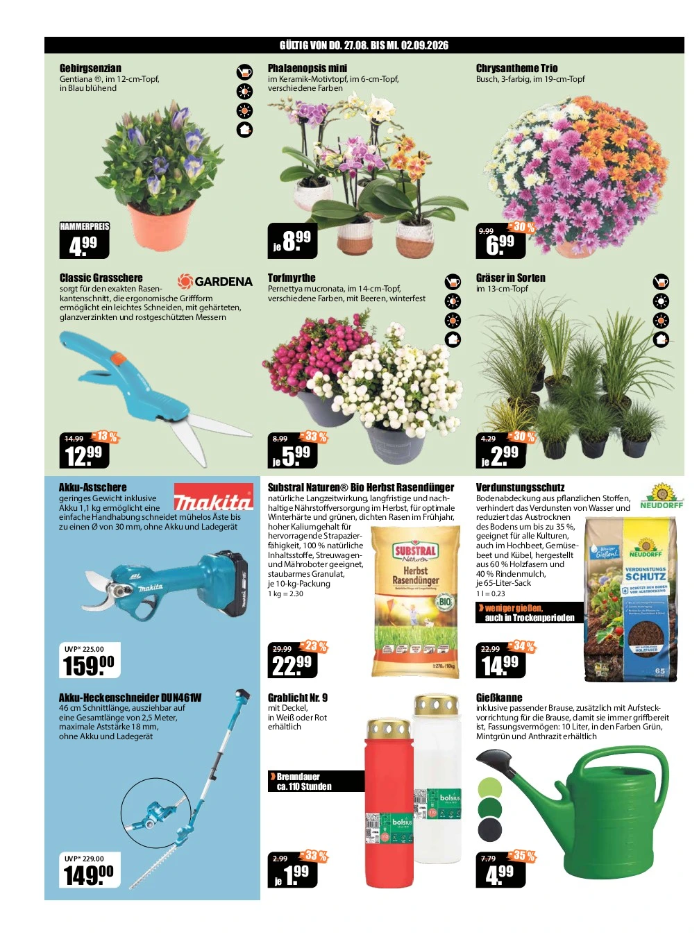 Flyer page 2