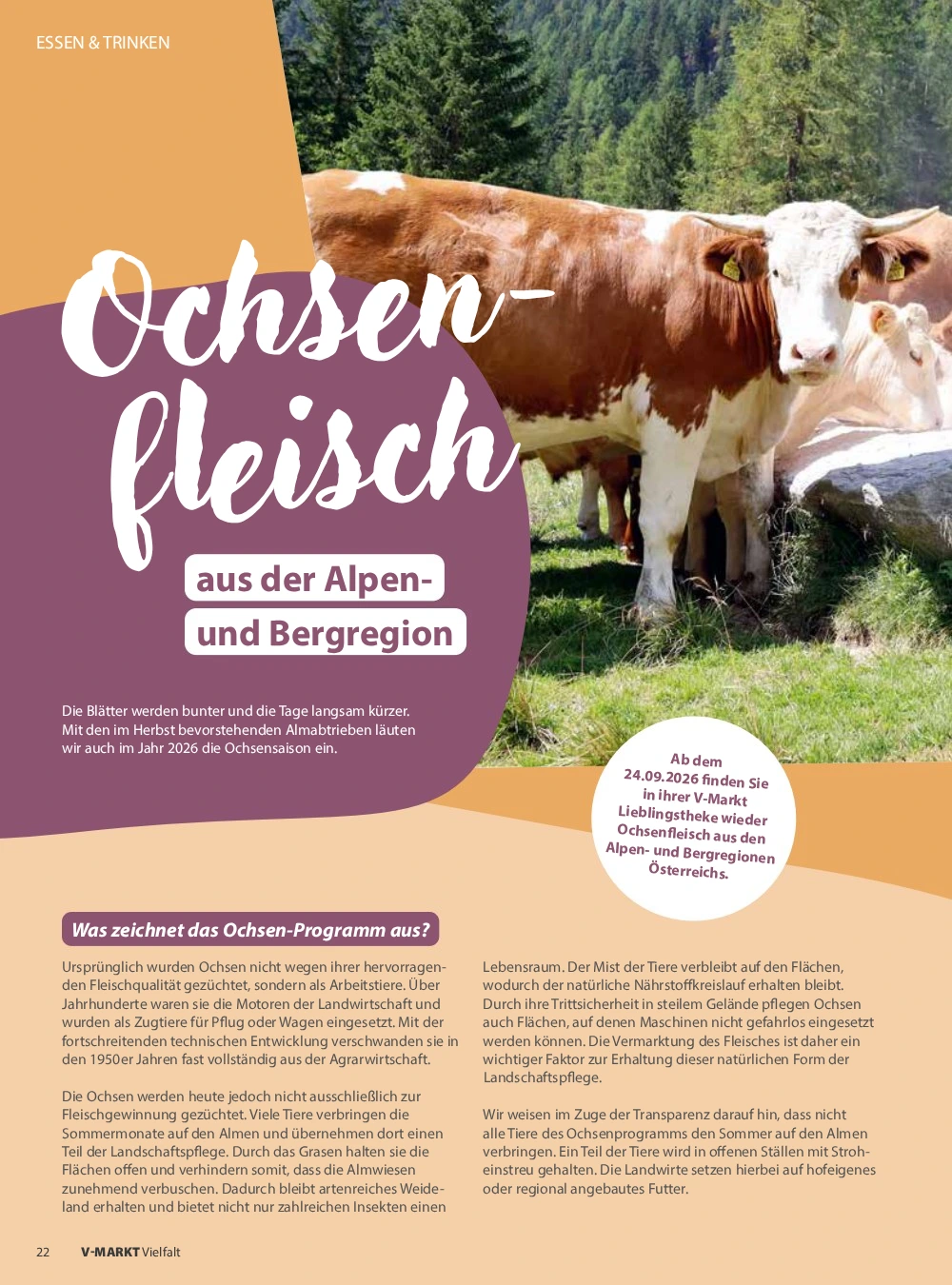 Flyer page 22