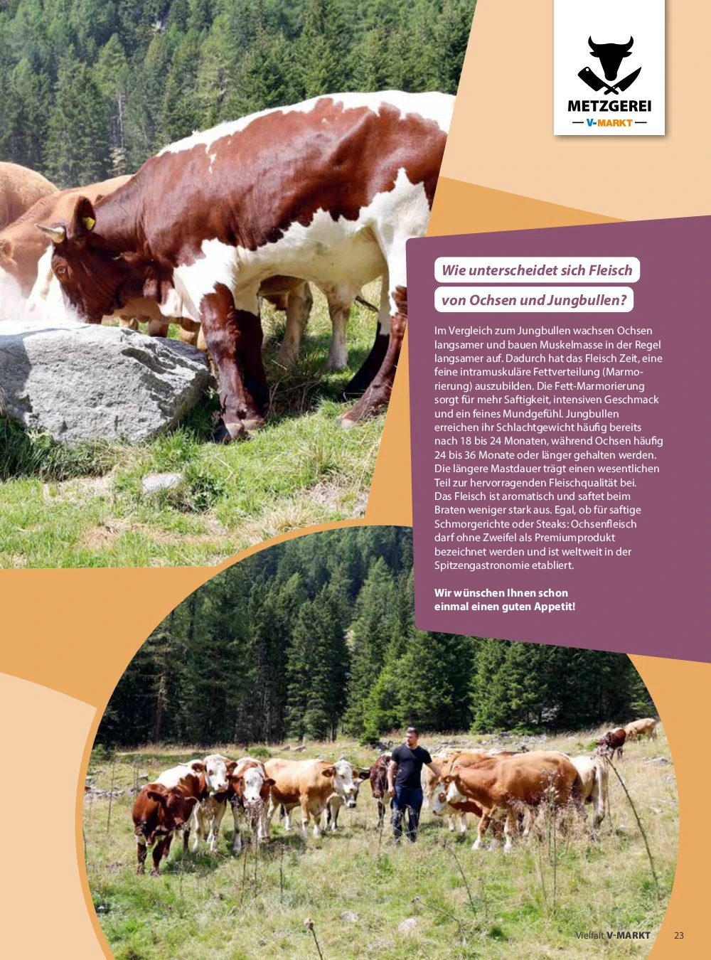 Flyer page 23