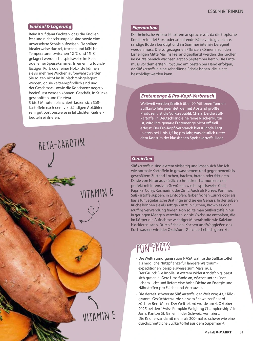 Flyer page 31