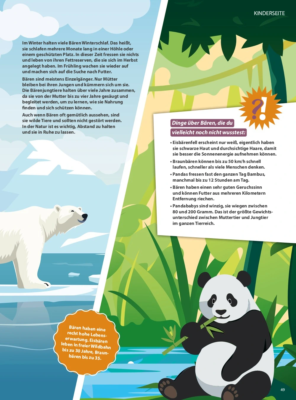Flyer page 49