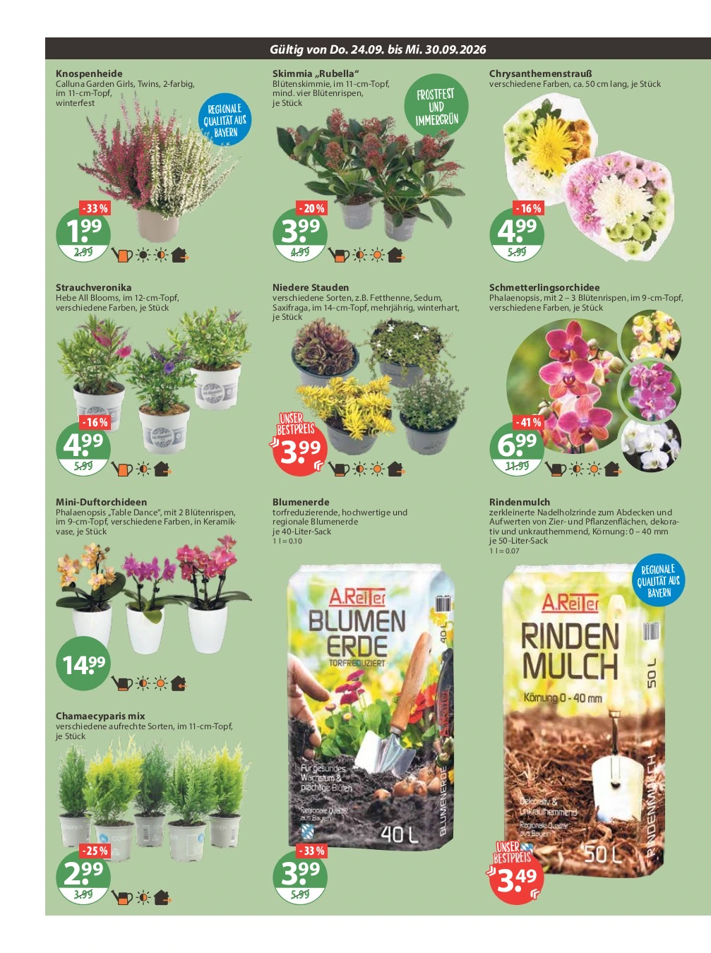 Flyer page 20