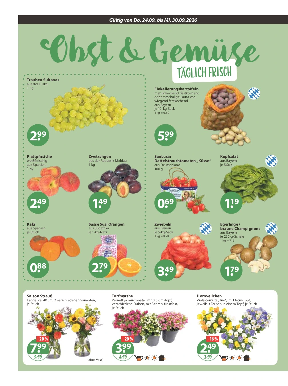 Flyer page 4