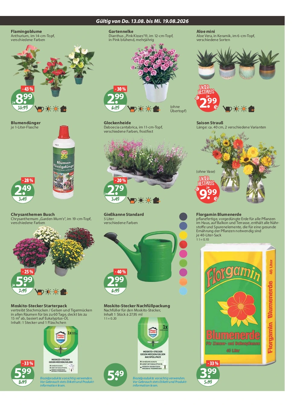 Flyer page 17
