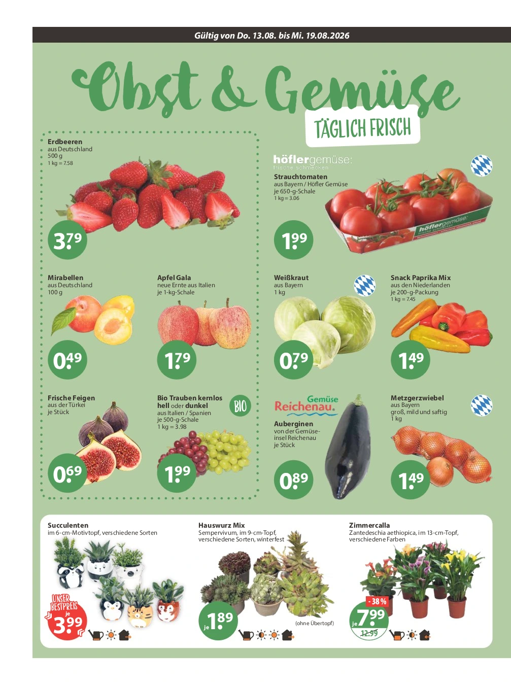 Flyer page 4