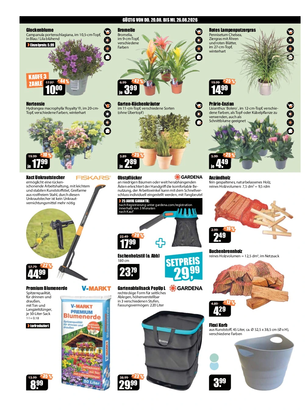 Flyer page 2