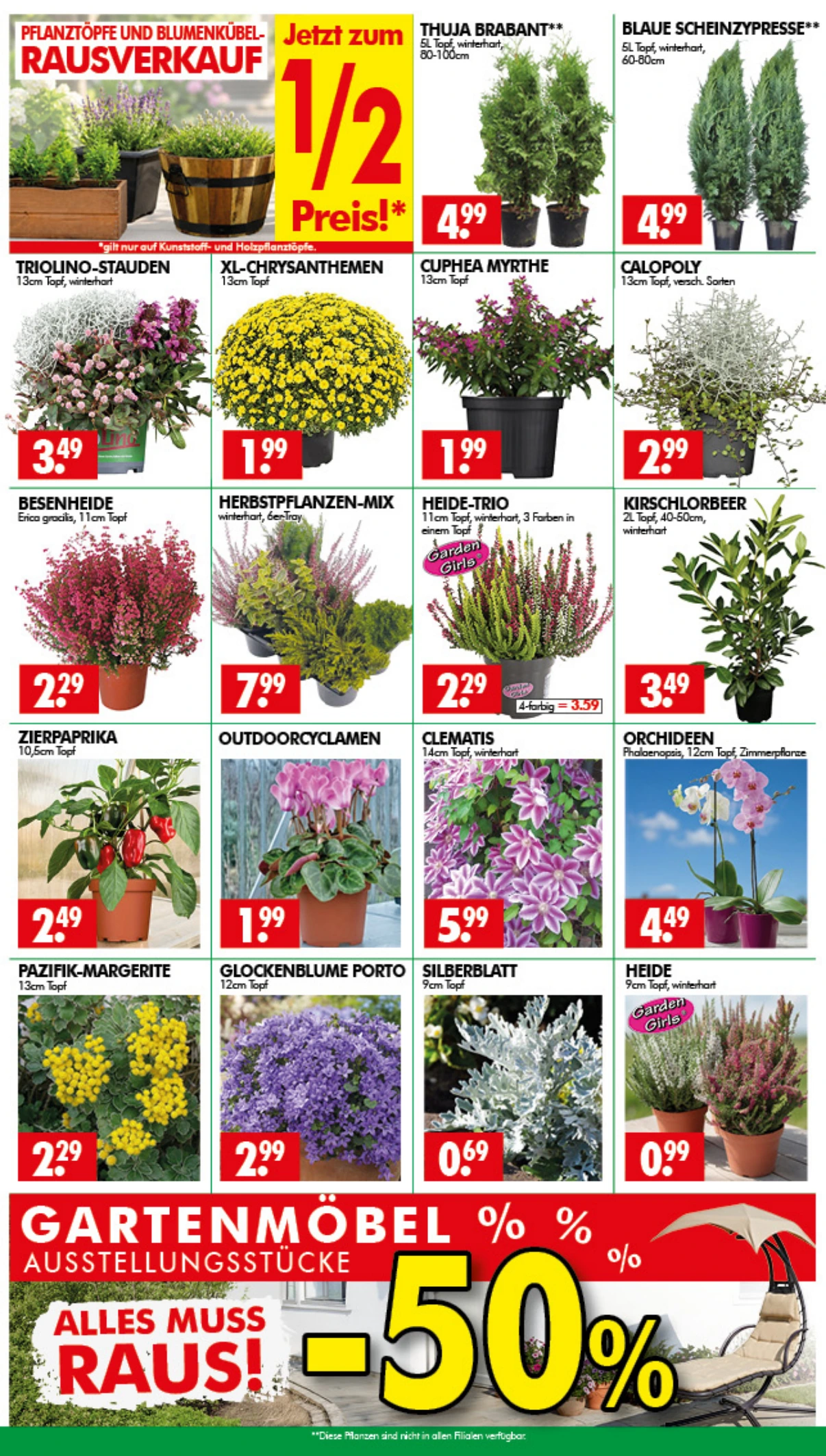 Flyer page 3