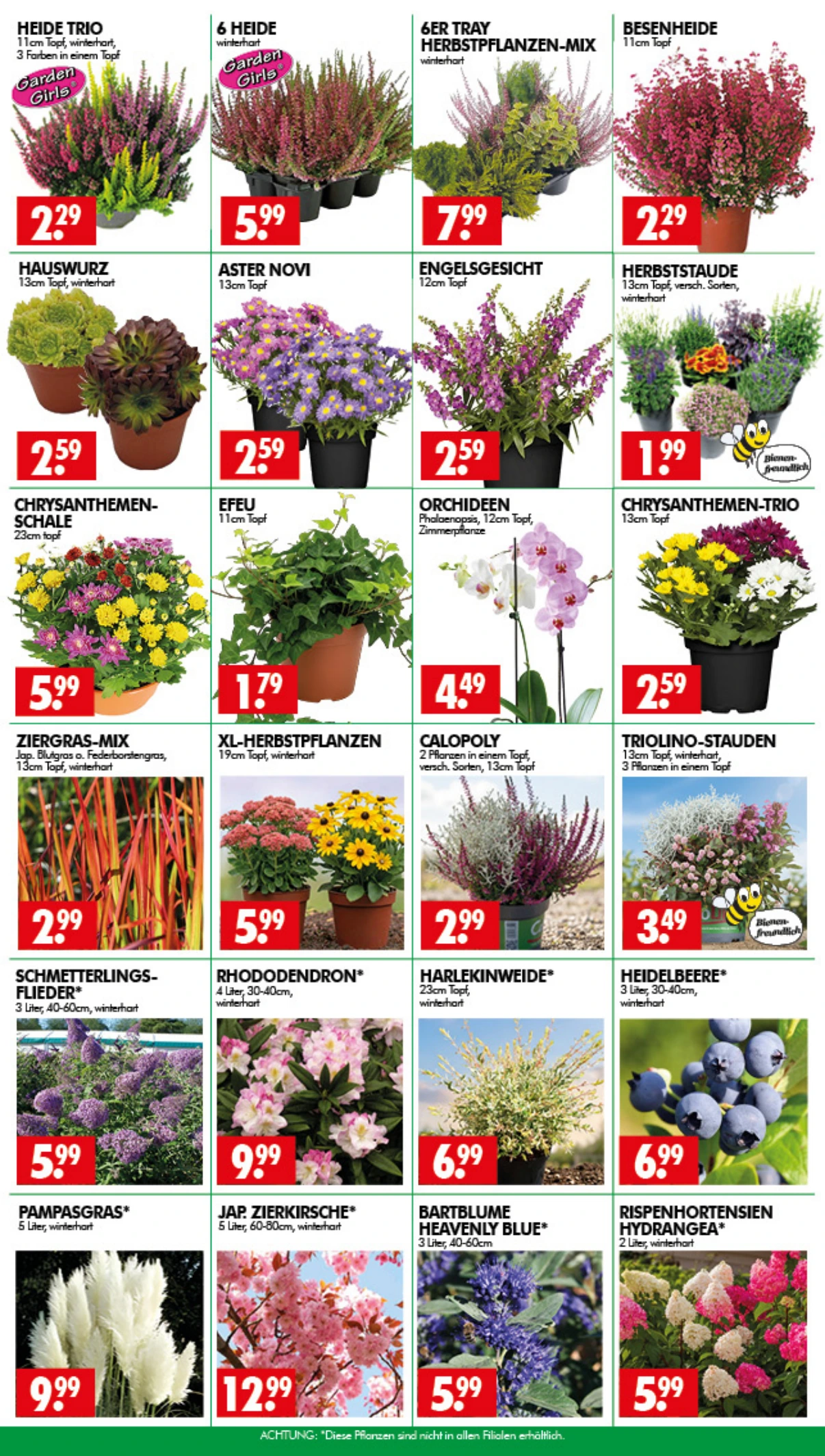 Flyer page 3