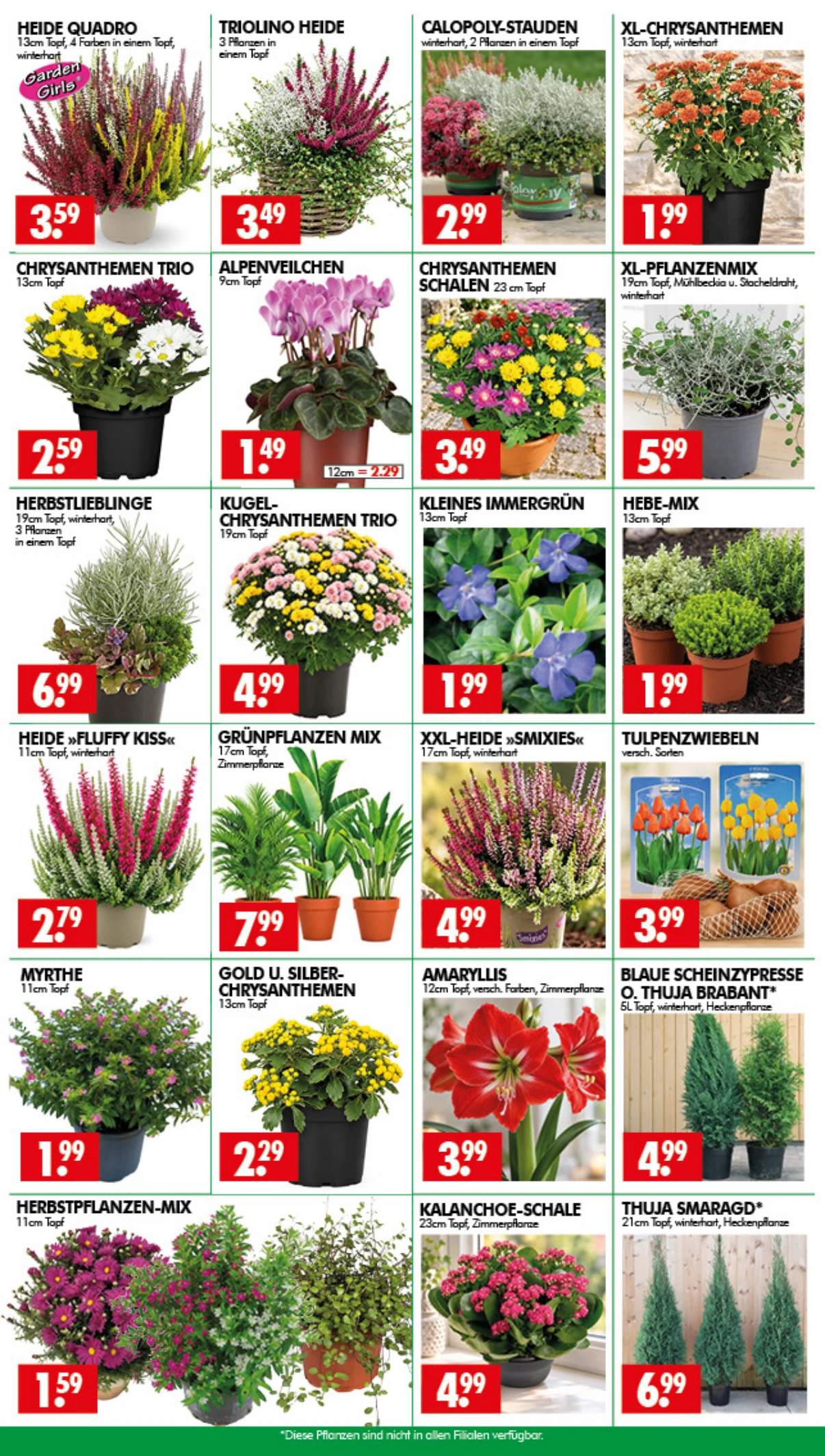 Flyer page 3