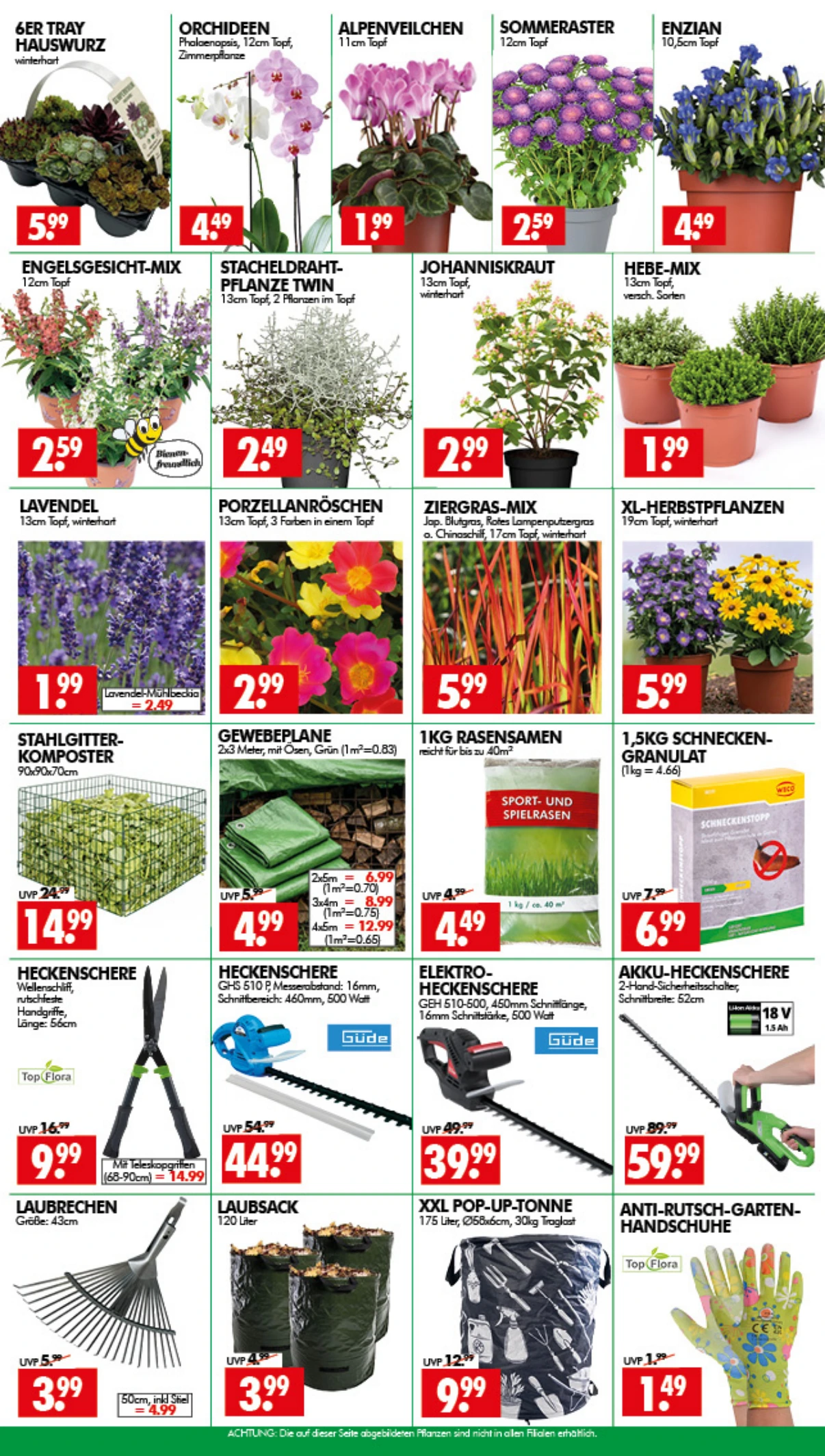 Flyer page 3