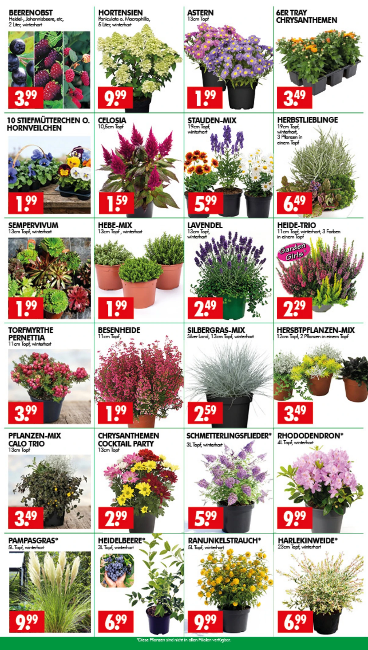 Flyer page 3