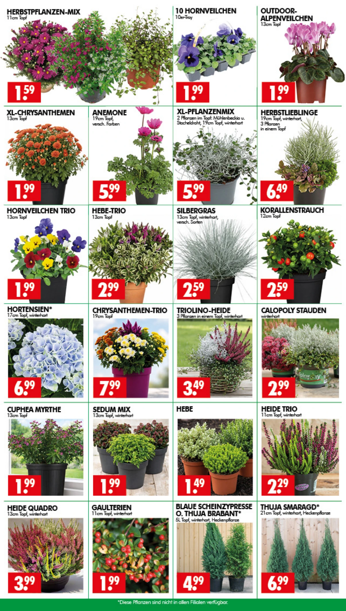 Flyer page 2