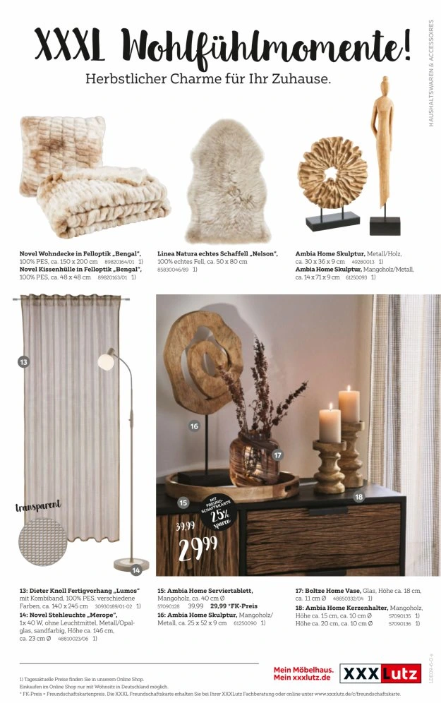 Flyer page 11
