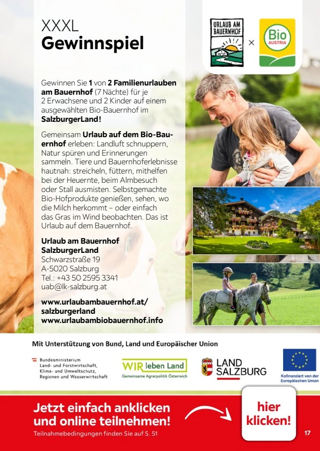 Flyer page 17