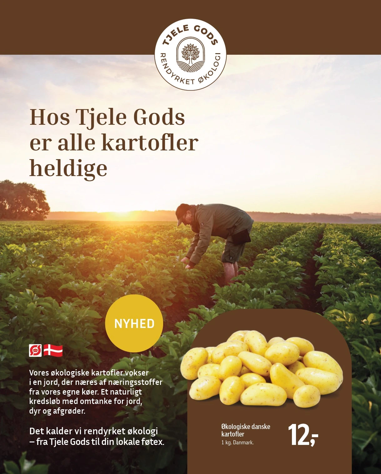Flyer page 11