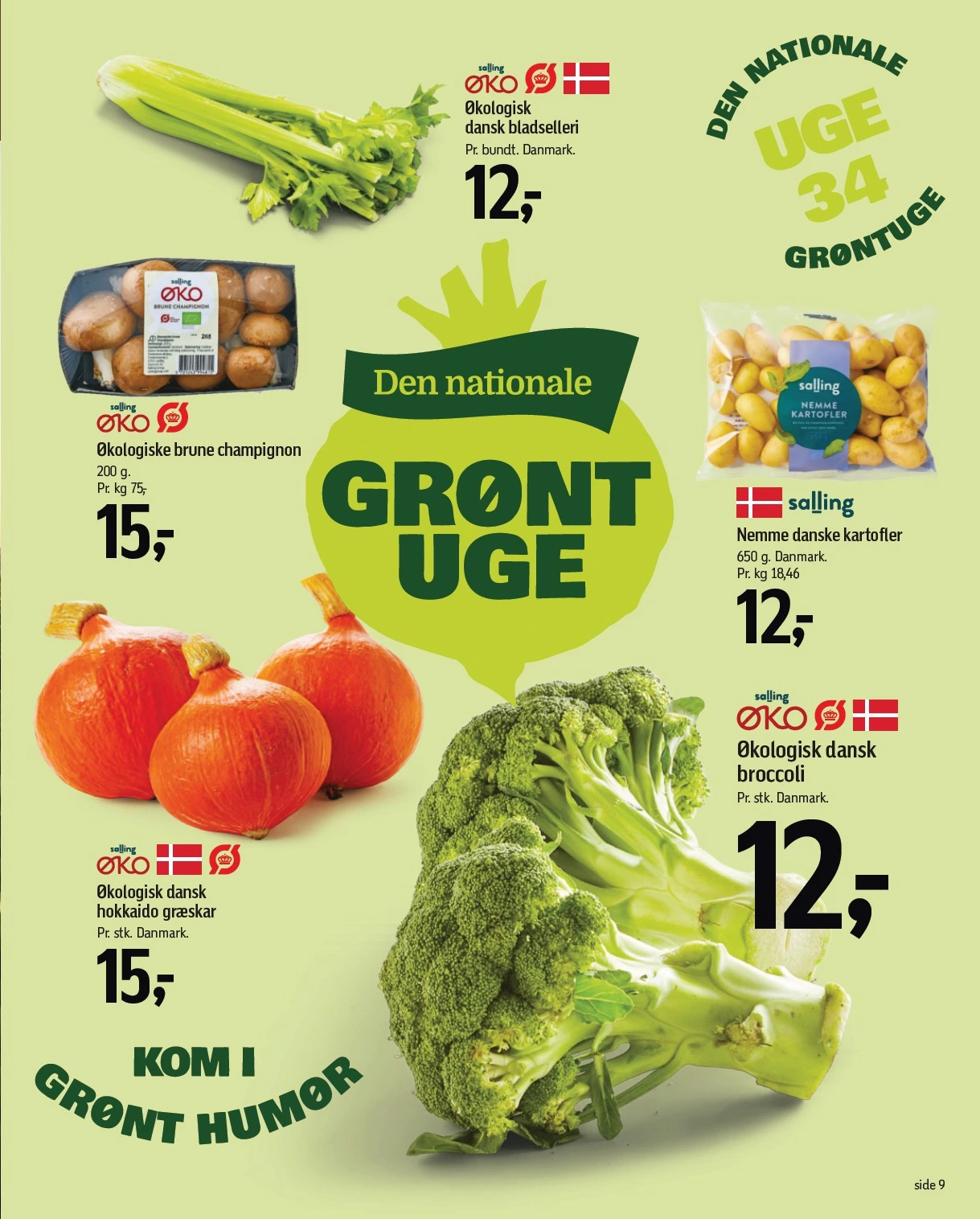 Flyer page 12