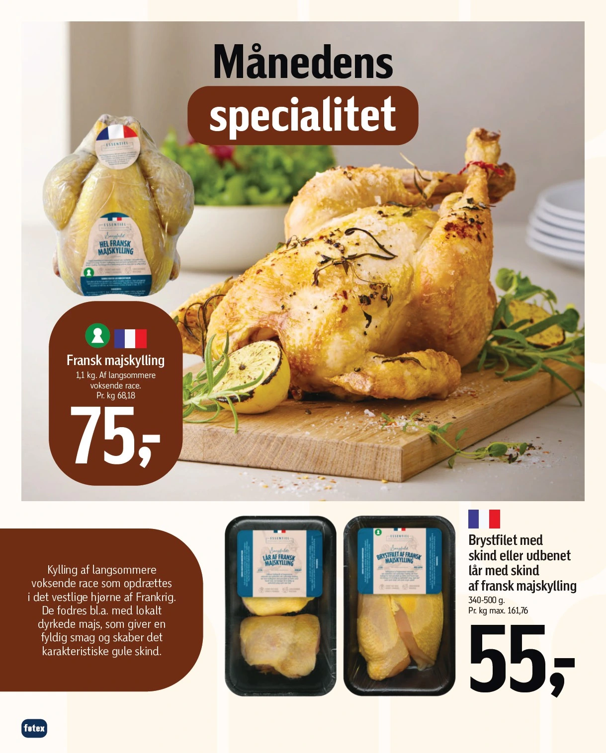 Flyer page 15