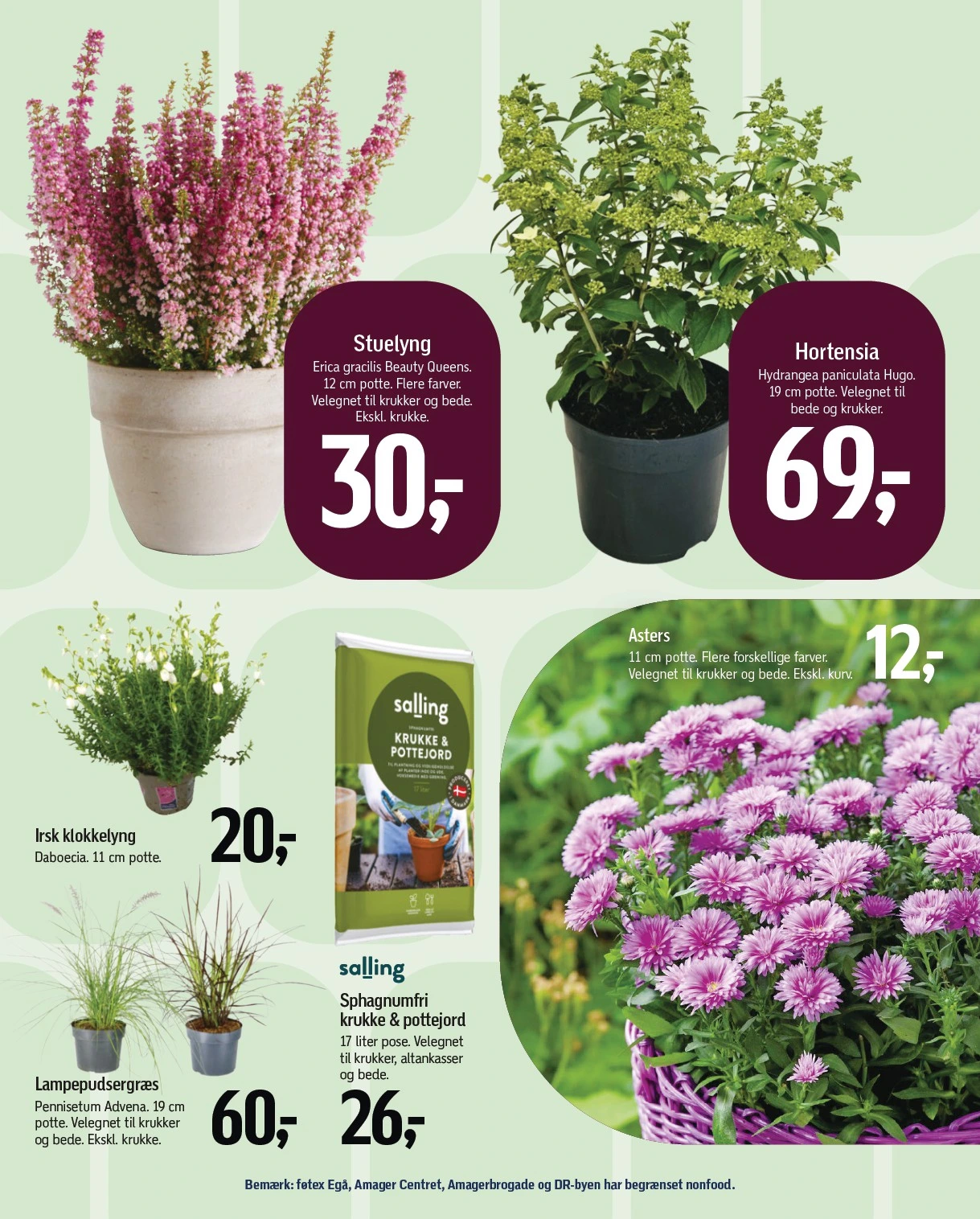 Flyer page 59