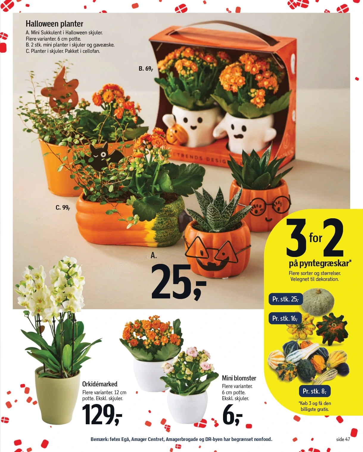Flyer page 59