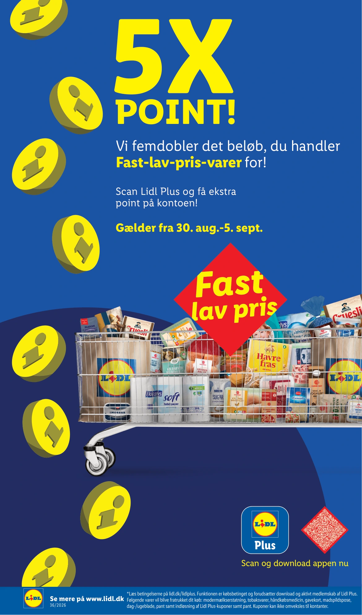 Flyer page 10
