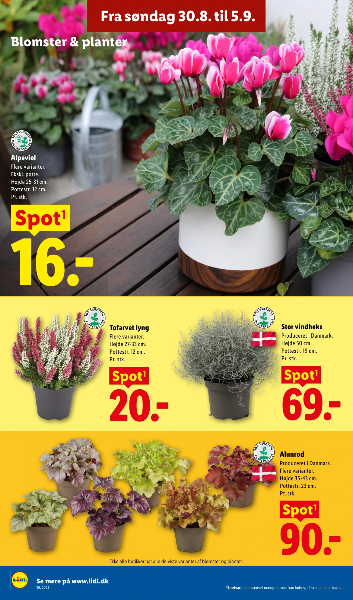 Flyer page 32