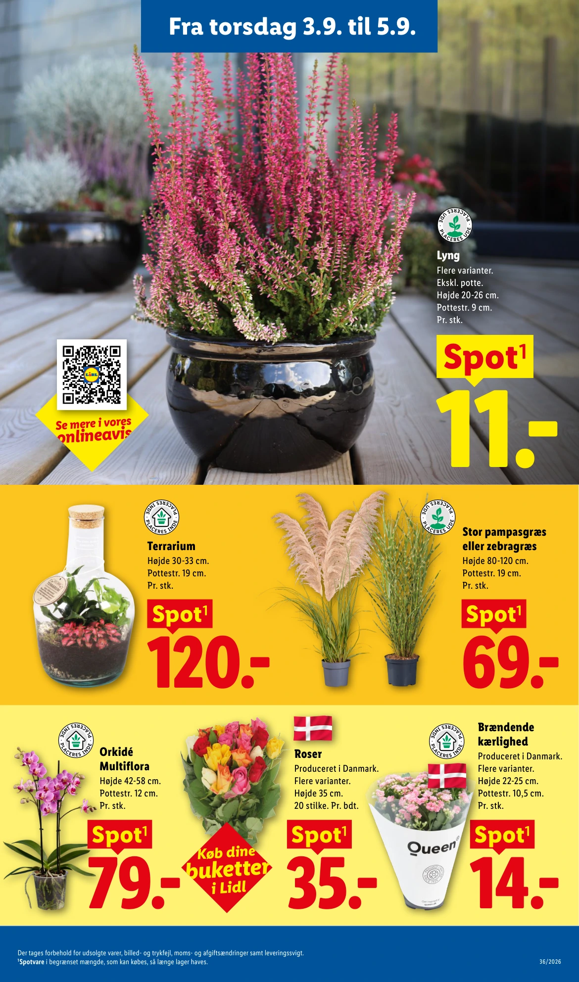 Flyer page 33