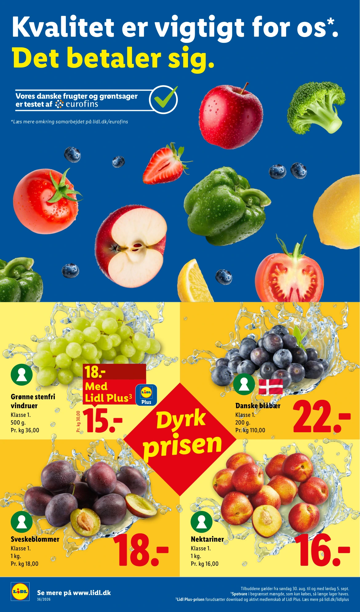 Flyer page 6