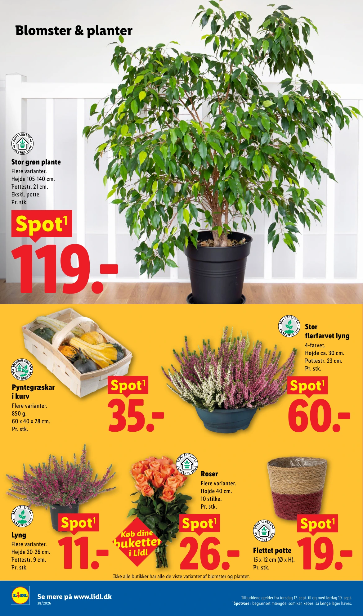 Flyer page 34