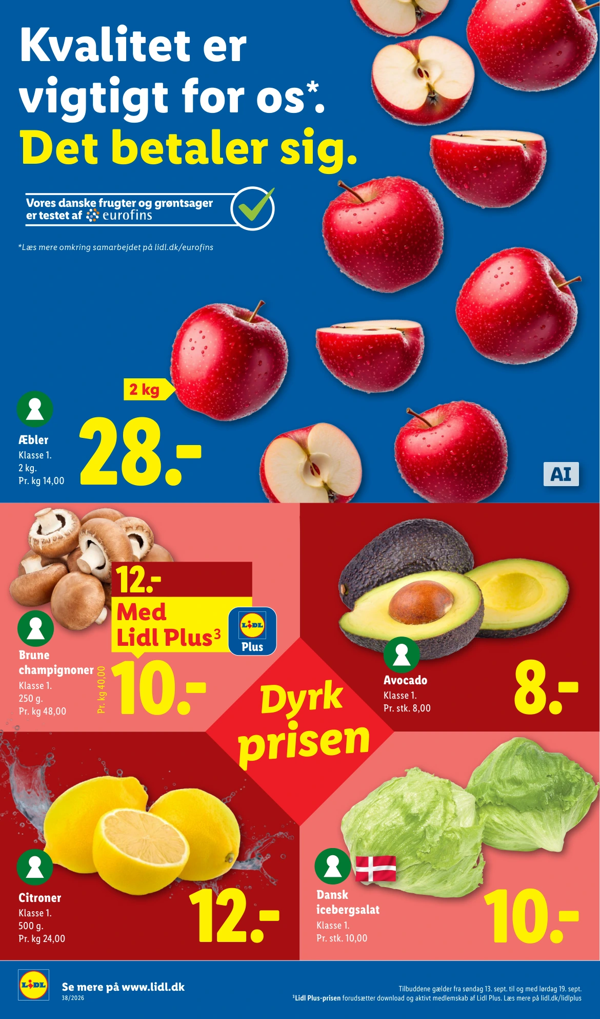 Flyer page 6