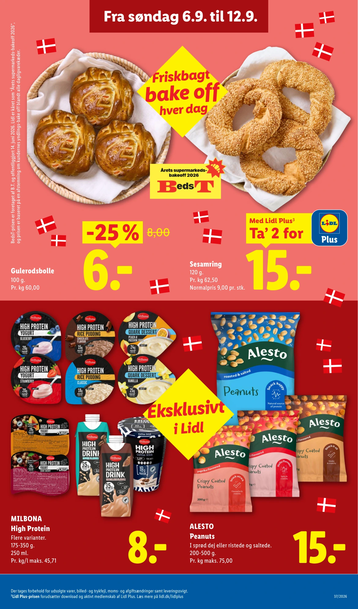Flyer page 10