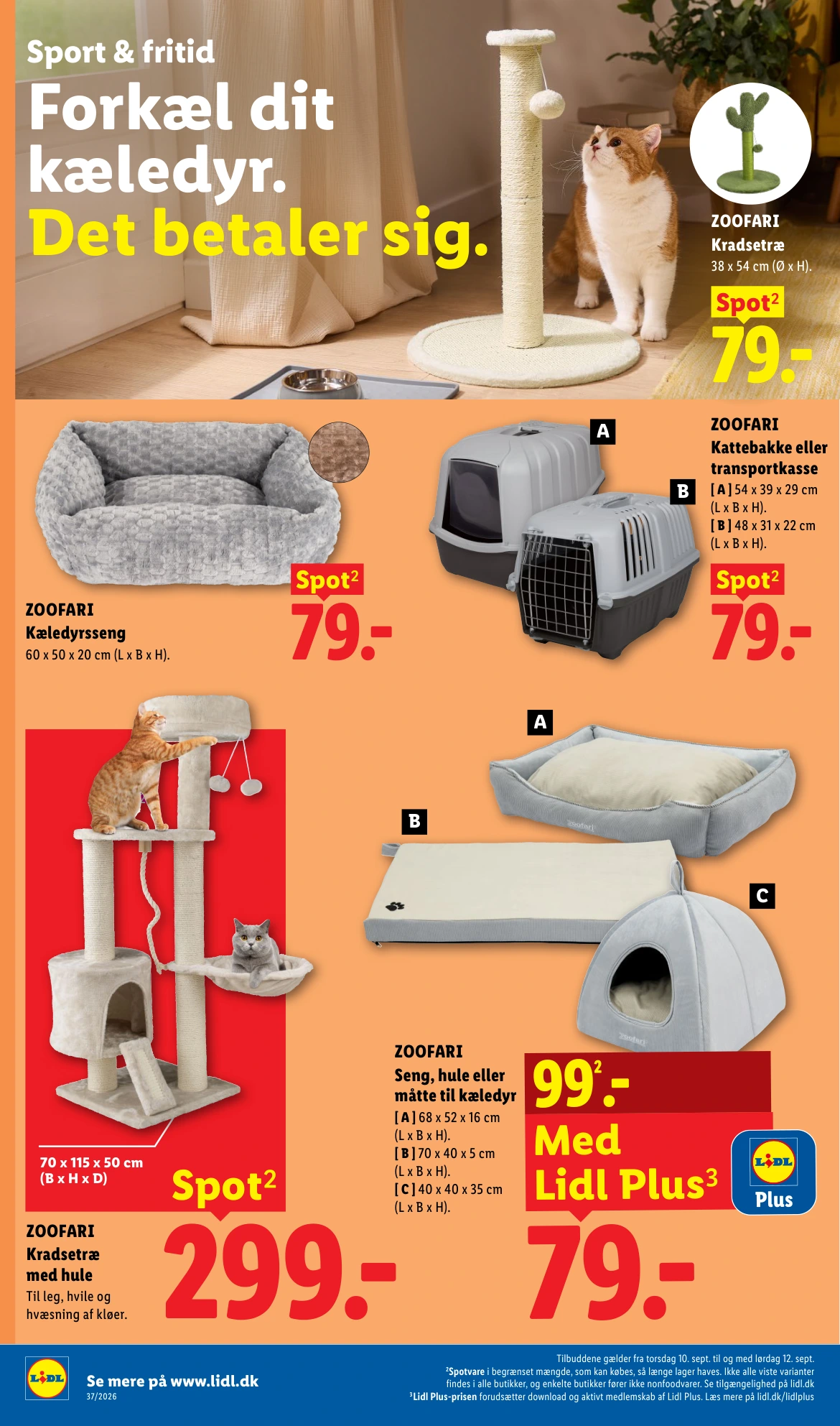 Flyer page 29
