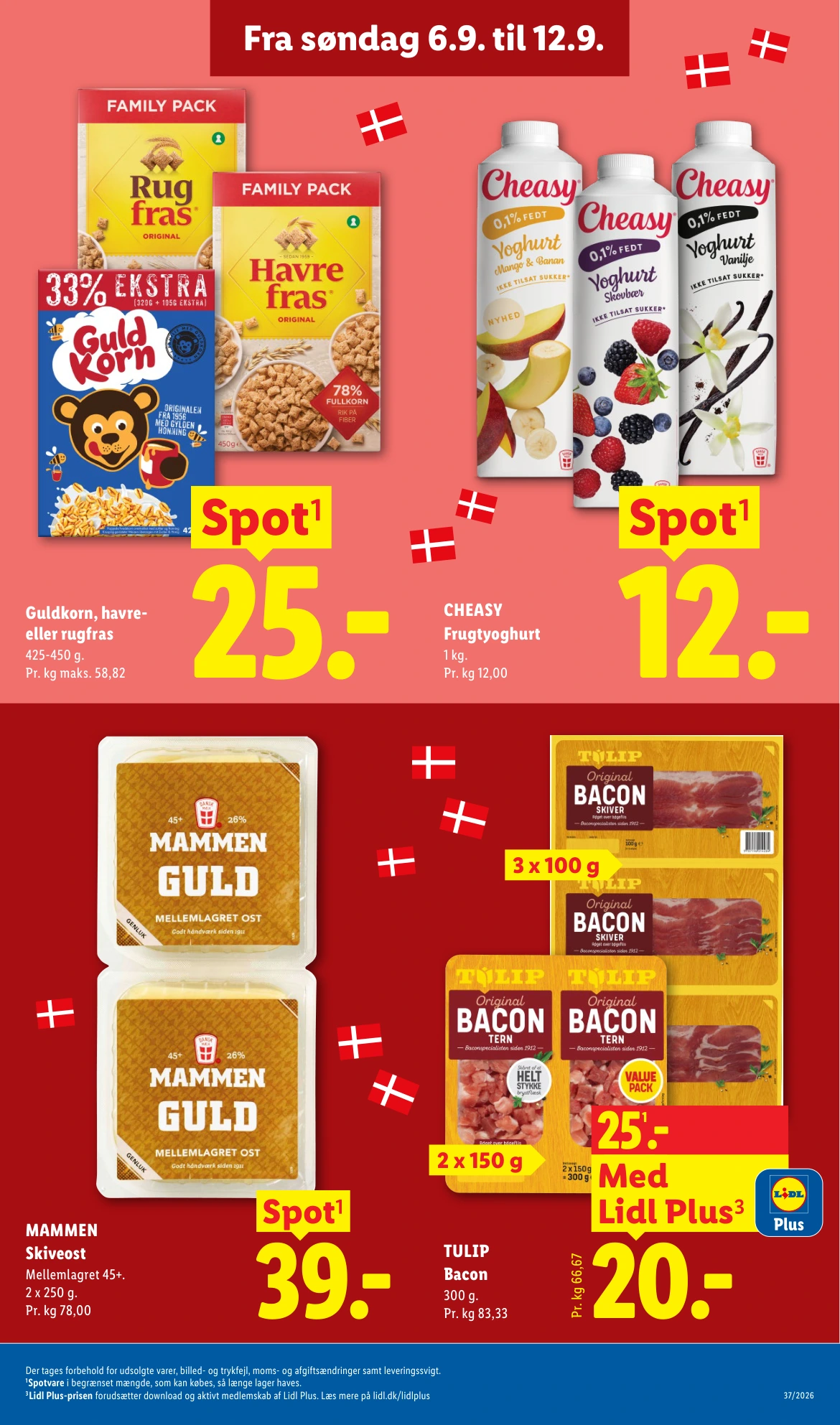 Flyer page 3