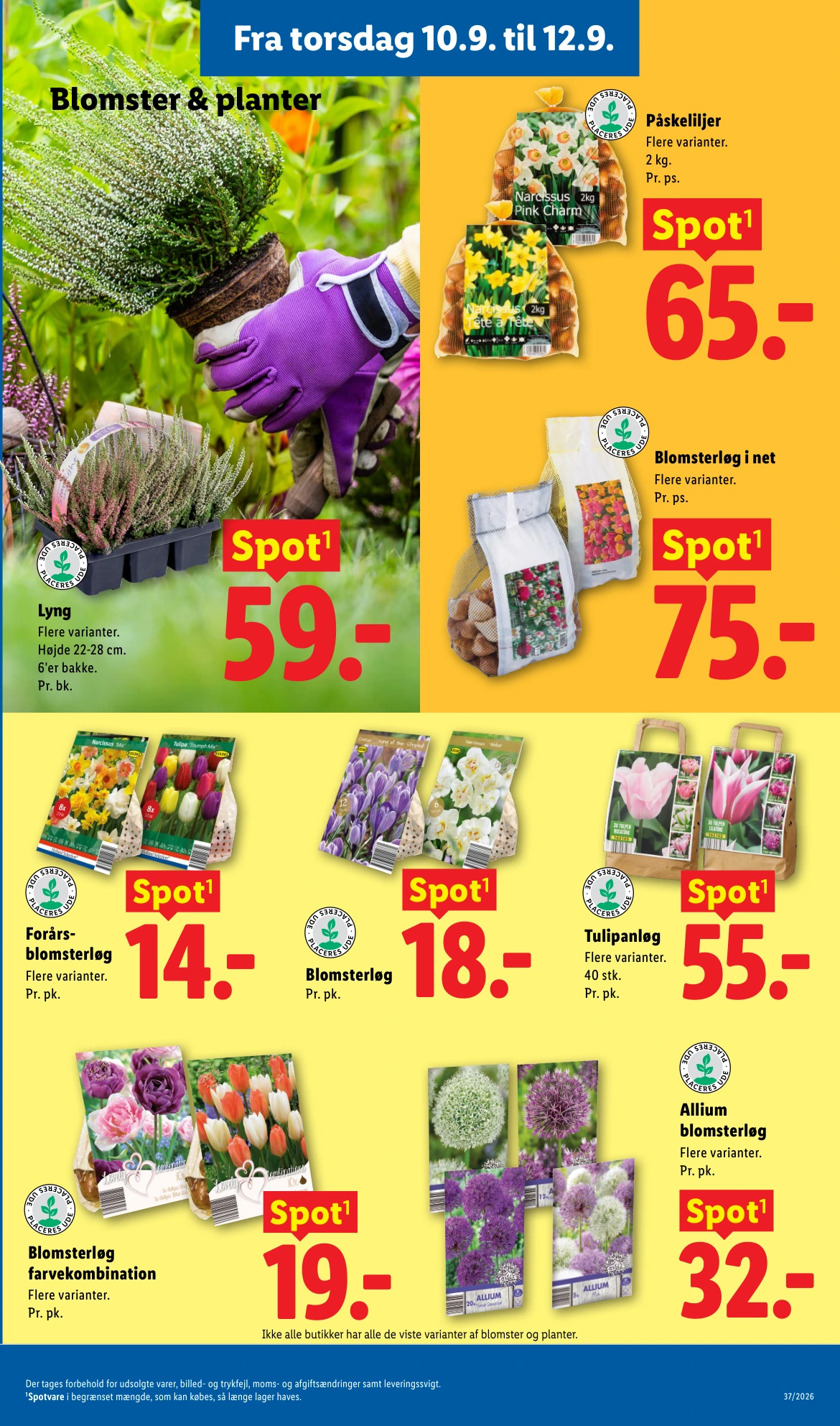 Flyer page 32