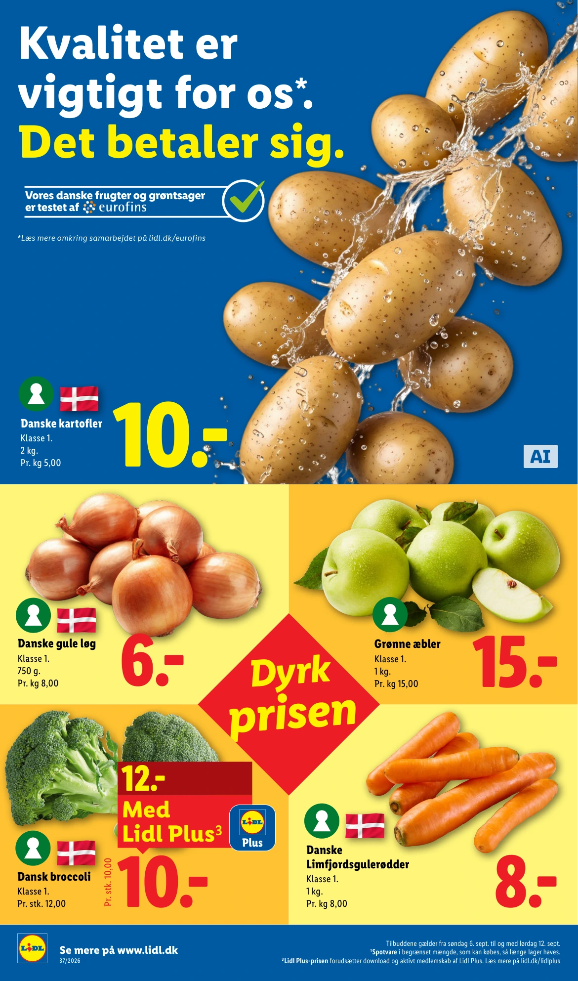 Flyer page 6