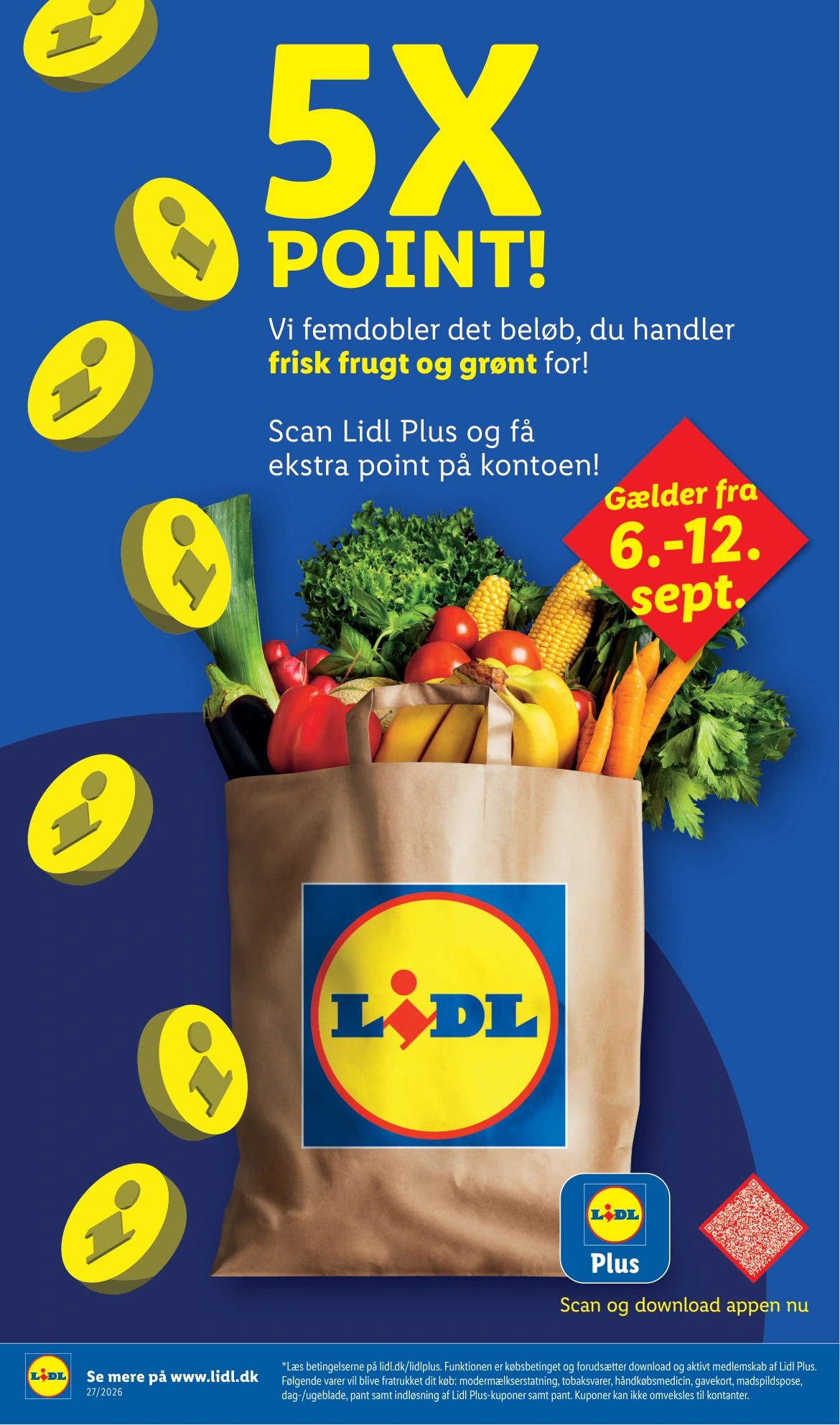 Flyer page 7