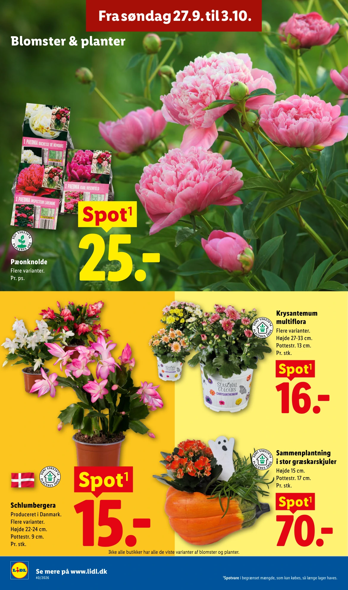 Flyer page 34