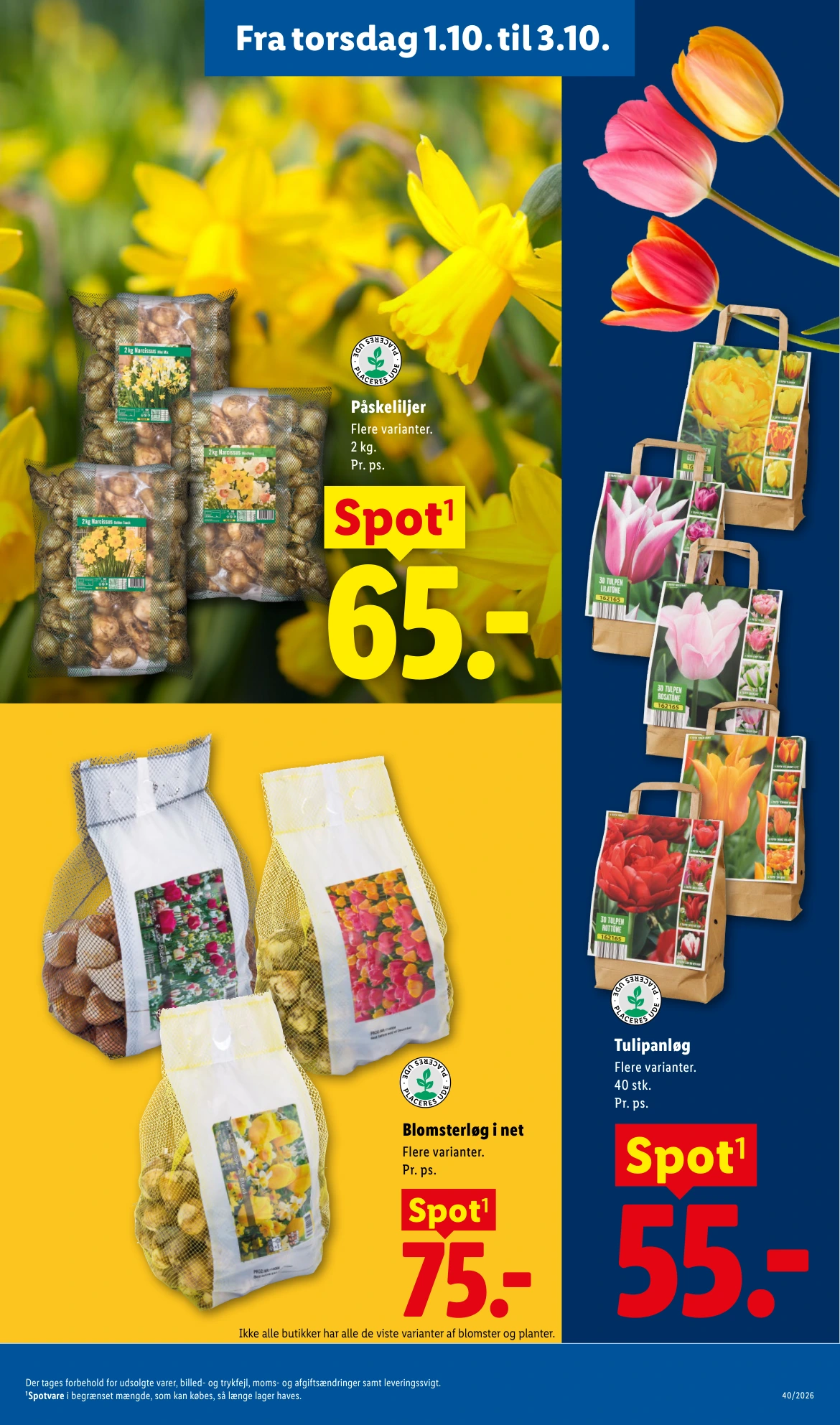 Flyer page 35