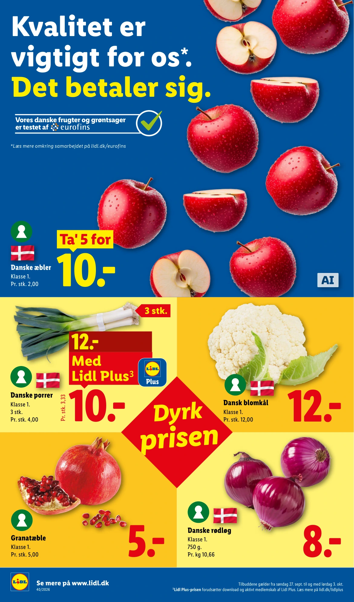 Flyer page 6