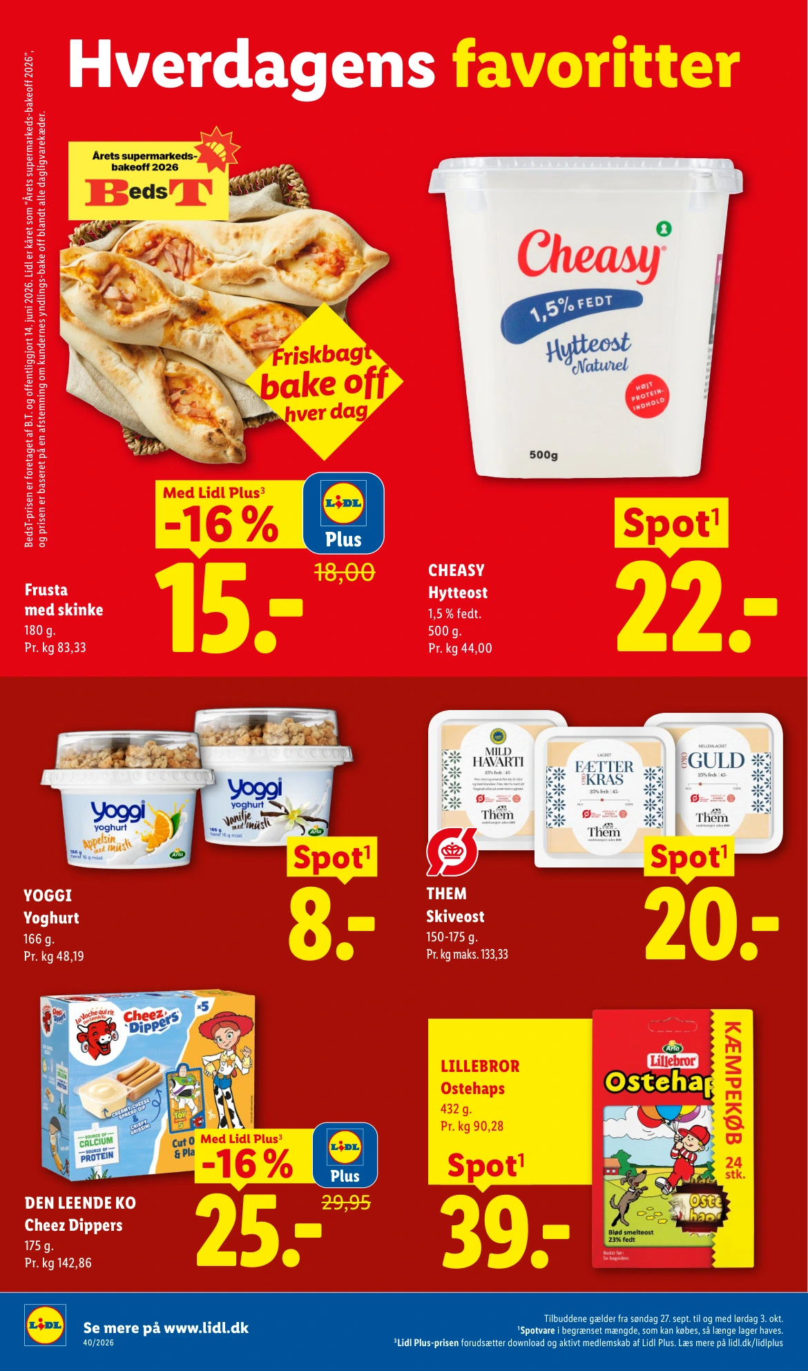 Flyer page 8