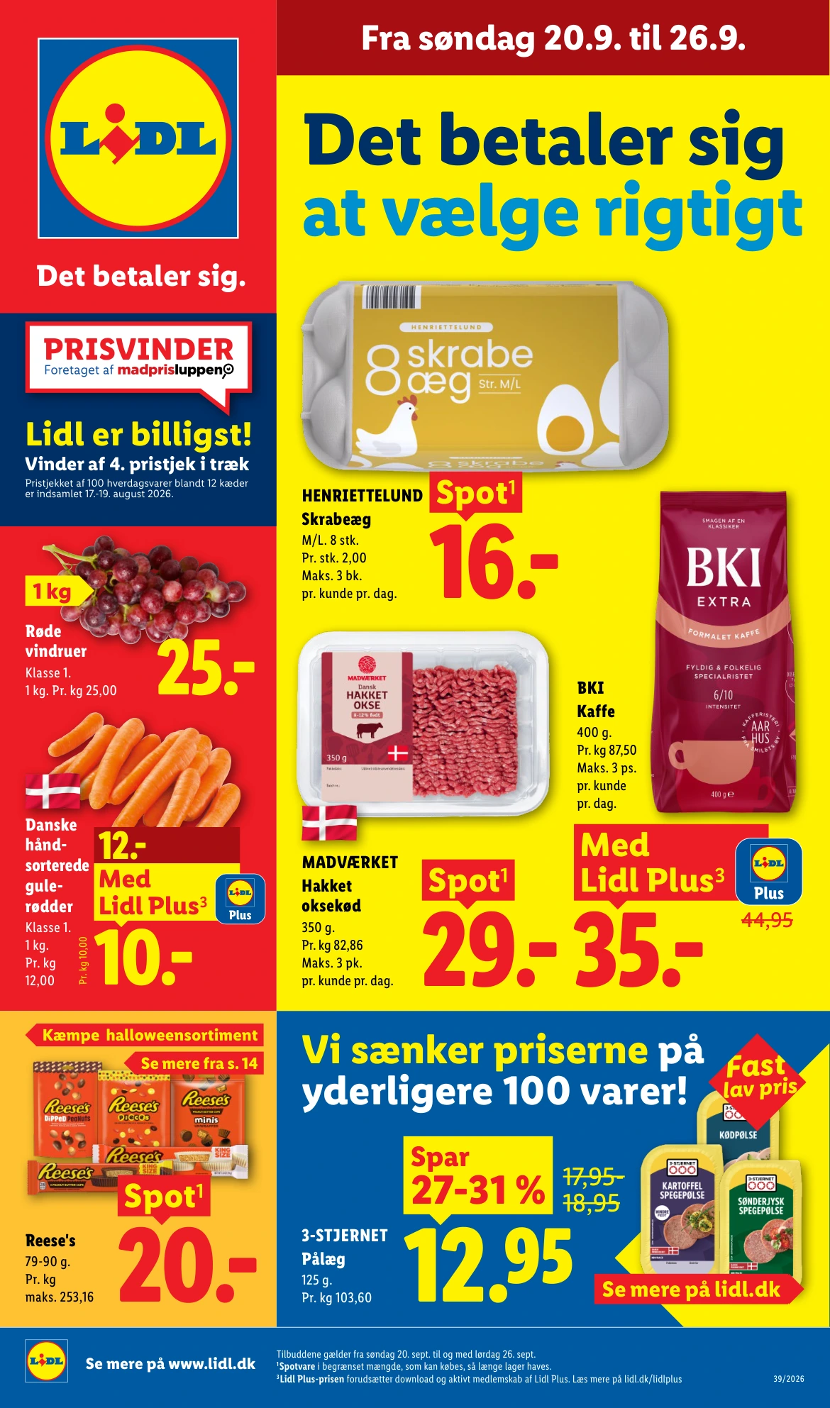 Flyer page 1