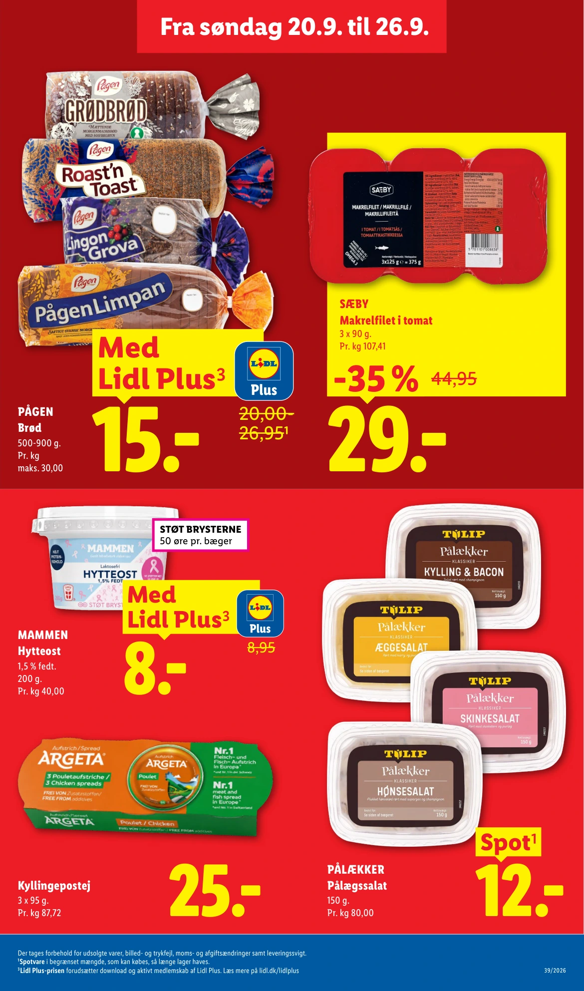 Flyer page 10