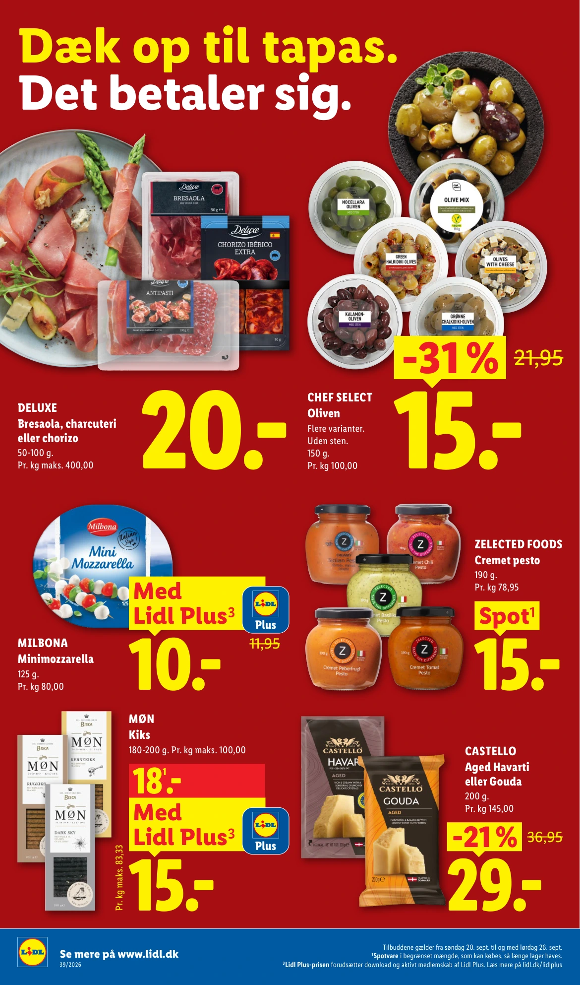 Flyer page 11