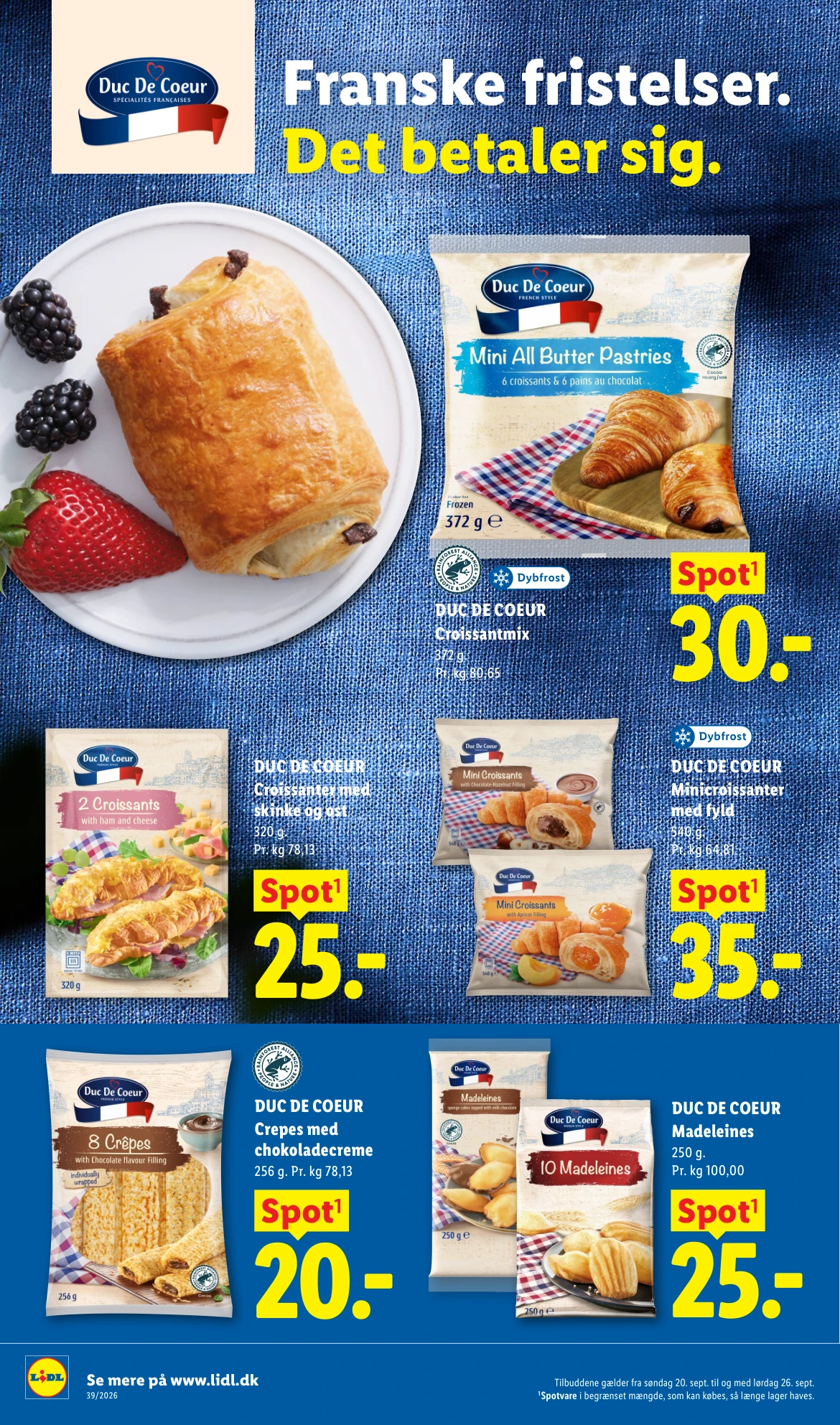 Flyer page 17