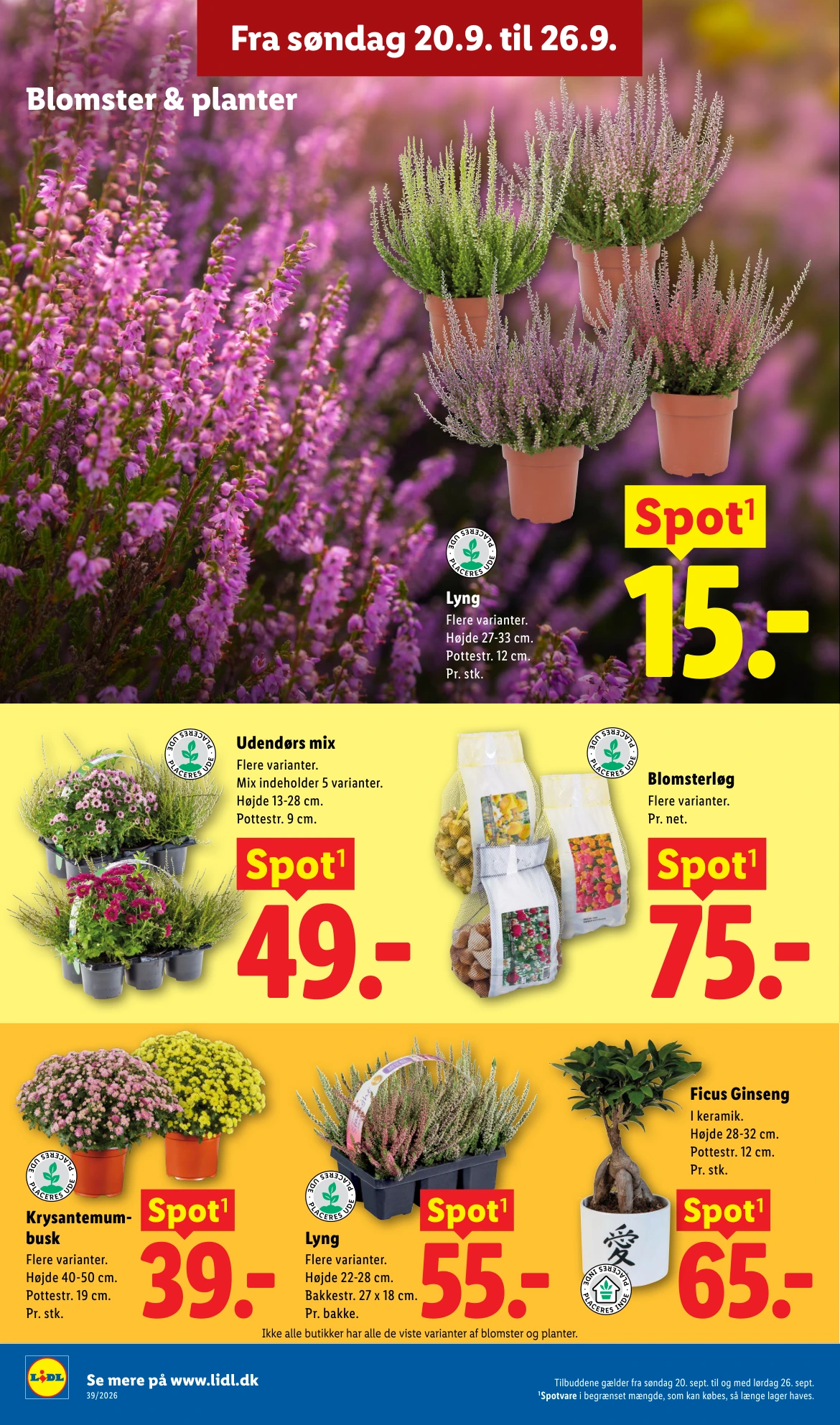 Flyer page 35