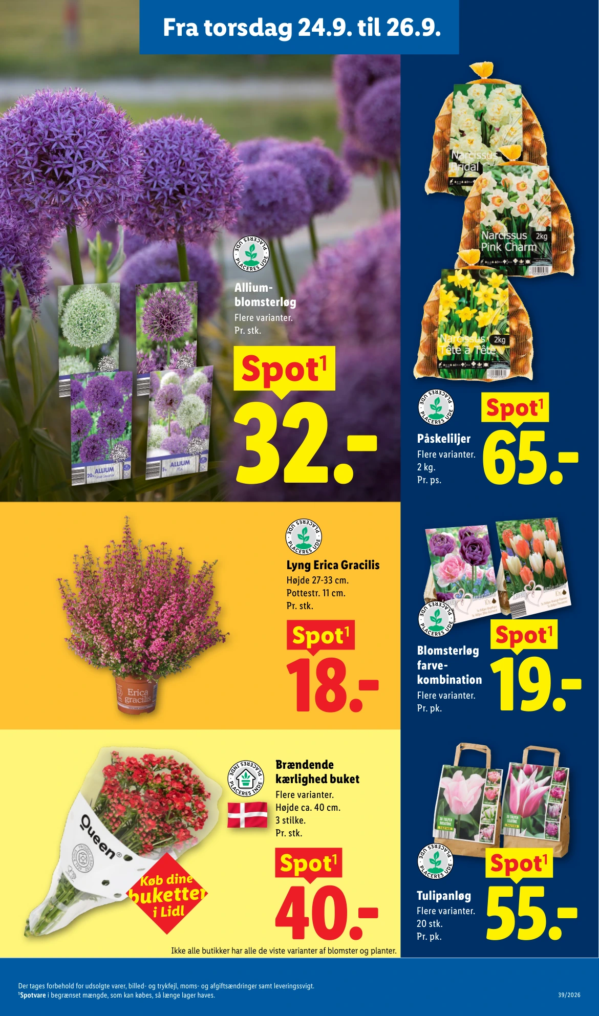 Flyer page 36