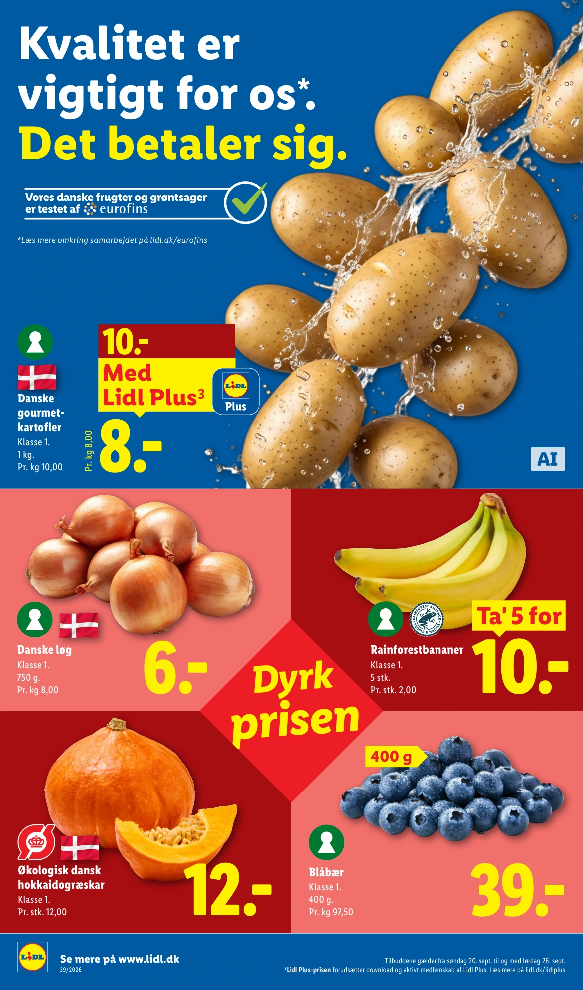 Flyer page 6