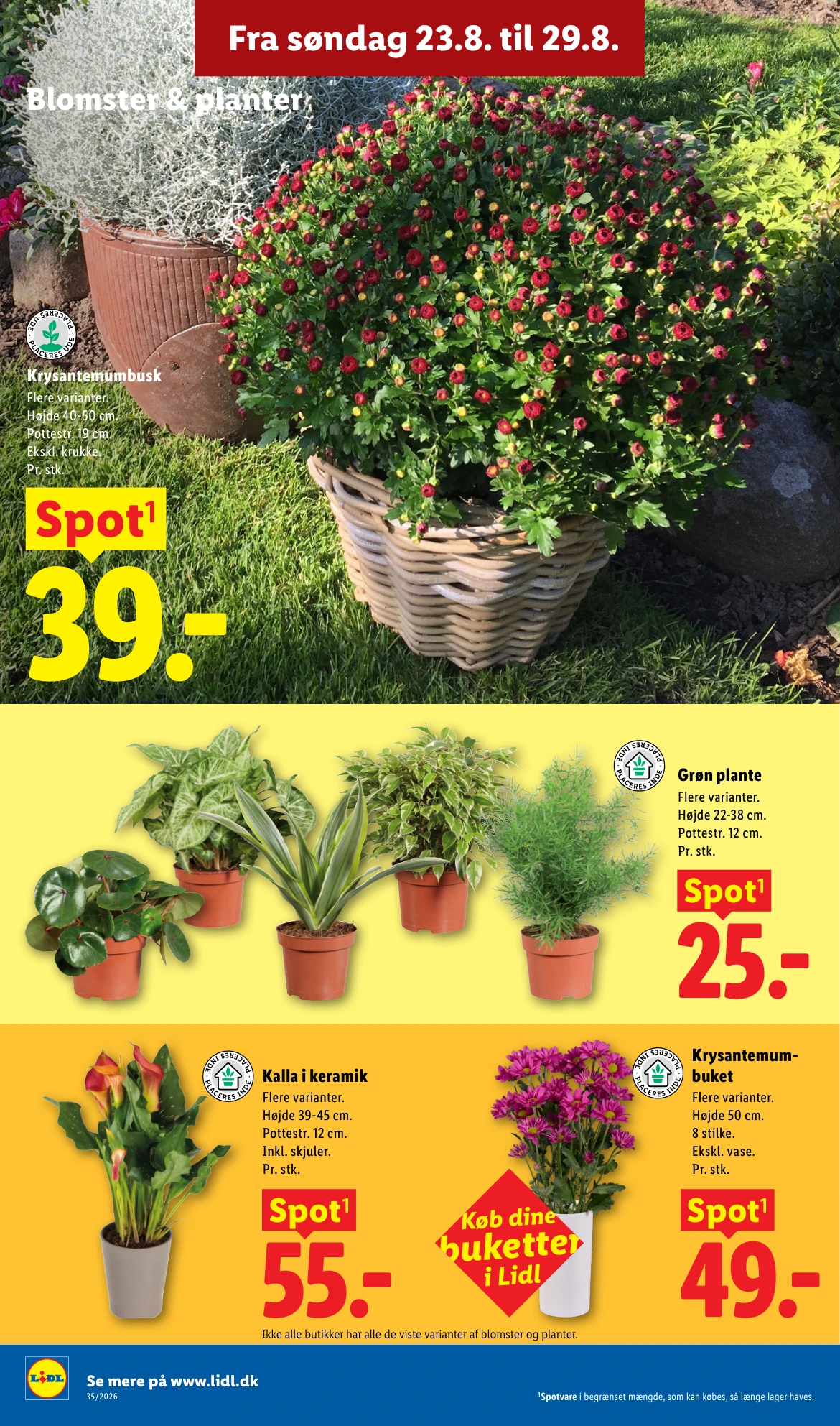 Flyer page 42